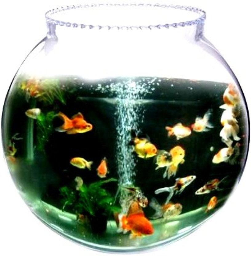 ATLOYAL collar 10 inches Round Ends Aquarium Tank(5 L)