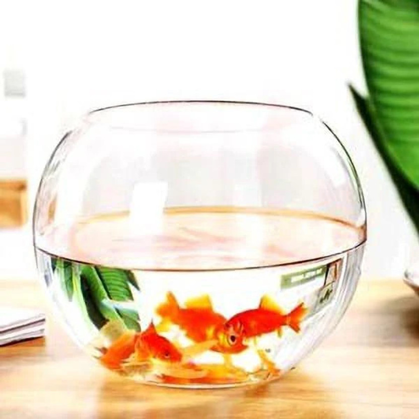 ATLOYAL AT_02 Round Ends Aquarium Tank(3 L)