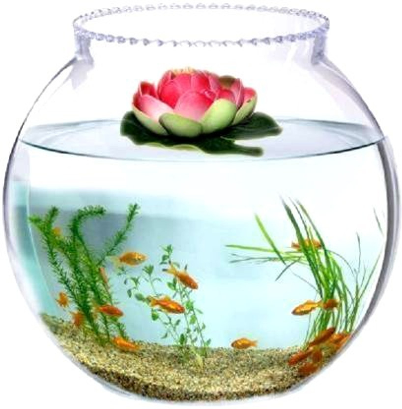 ATLOYAL TANK_02 INCH 10 Round Ends Aquarium Tank(5 L)