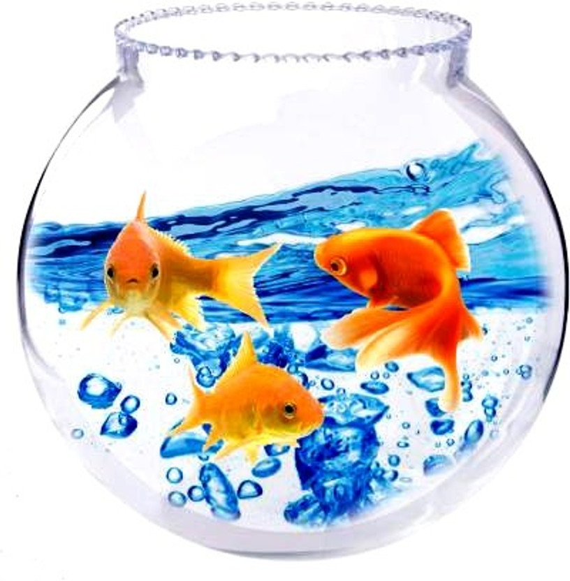 ATLOYAL AT_04 Round Ends Aquarium Tank(3 L)