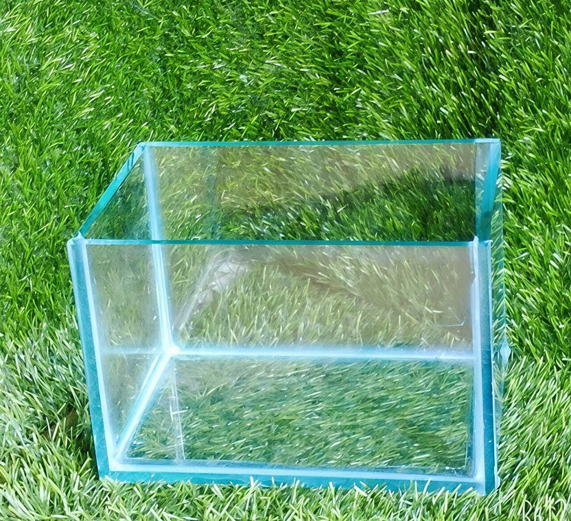 AquariumGallery Aquarium Glass Tank for Home & Office (9X6X6 Inch) Rectangle Aquarium Tank(5.5 L)