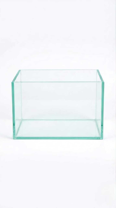 AquariumGallery Aquarium Glass Tank for Home & Office Perfect for Betta & Goldfish (9X6X6 Inch) Rectangle Aquarium Tank(6 L)