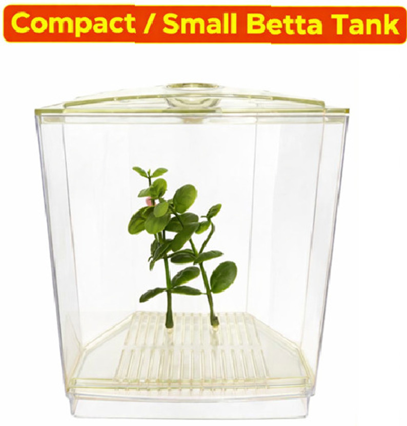 HNS K1 SINGLE BETTA Corner Pentagon Aquarium Tank(0.7 L)