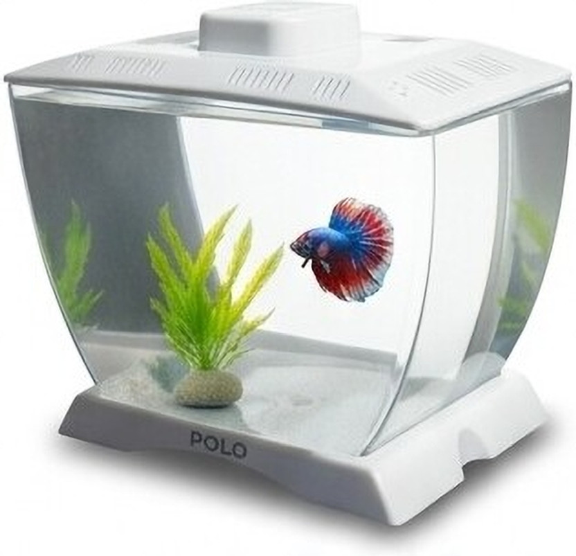 Trendy Bay Mini Betta Fish Tank with Decor | Small Desktop Aquarium Bowl for Guppy & Tetra Concave View Aquarium Tank(2 L)