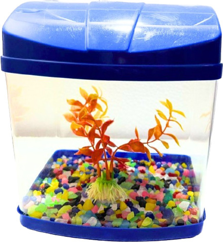 kshstore MINIAQ2L Cube Aquarium Tank(0 L)
