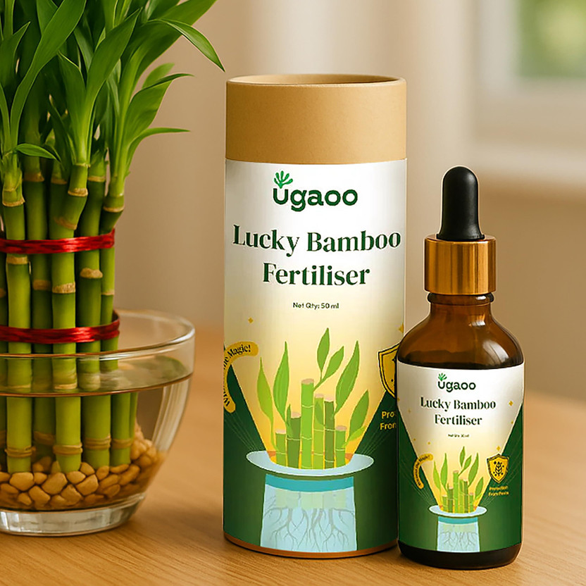 UGAOO Lucky Bamboo Plant Liquid Fertilizer - Growth Booster Fertilizer(50 ml, Liquid)