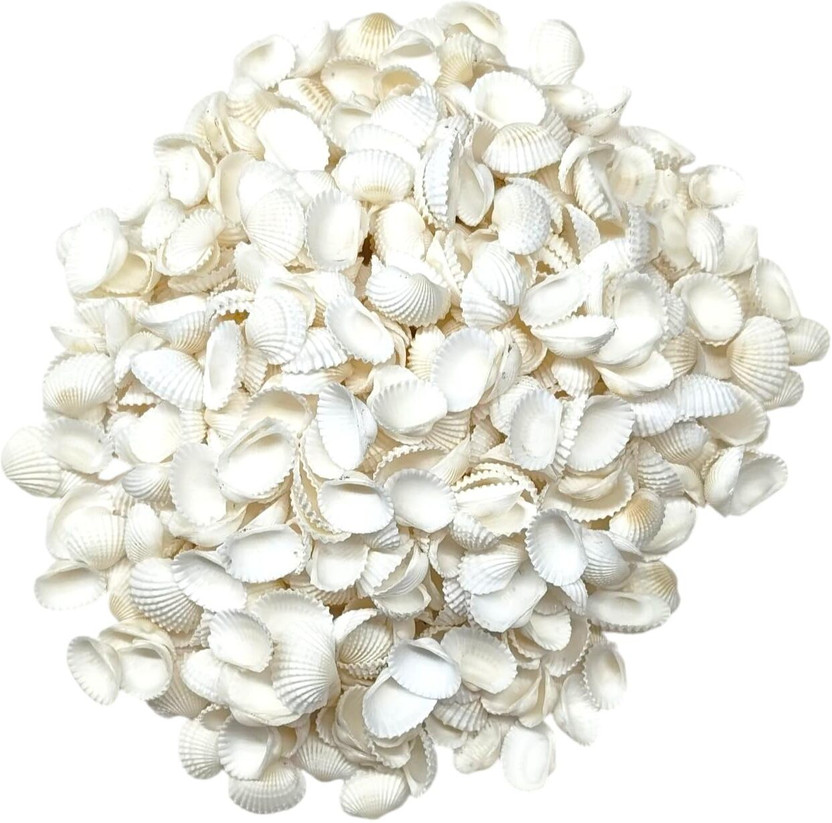 FairRate Tiny White Artificial Sea Shells Mini Bulk for Candle DIY Decor Filler 200gm