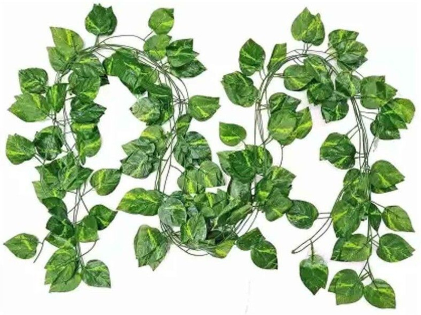 VP Quality 8ft Set of 3 Artificial Money Plant Vine,For|Home|Office|Garden|Decoration Green Wild Flower Artificial Flower(10 inch, Pack of 3, Vine & Creepers)