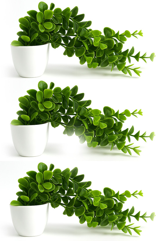 Akp Pack of 3 Artificial Creeper plant Bonsai Artificial Plant  with Pot(30 cm, Green, White)