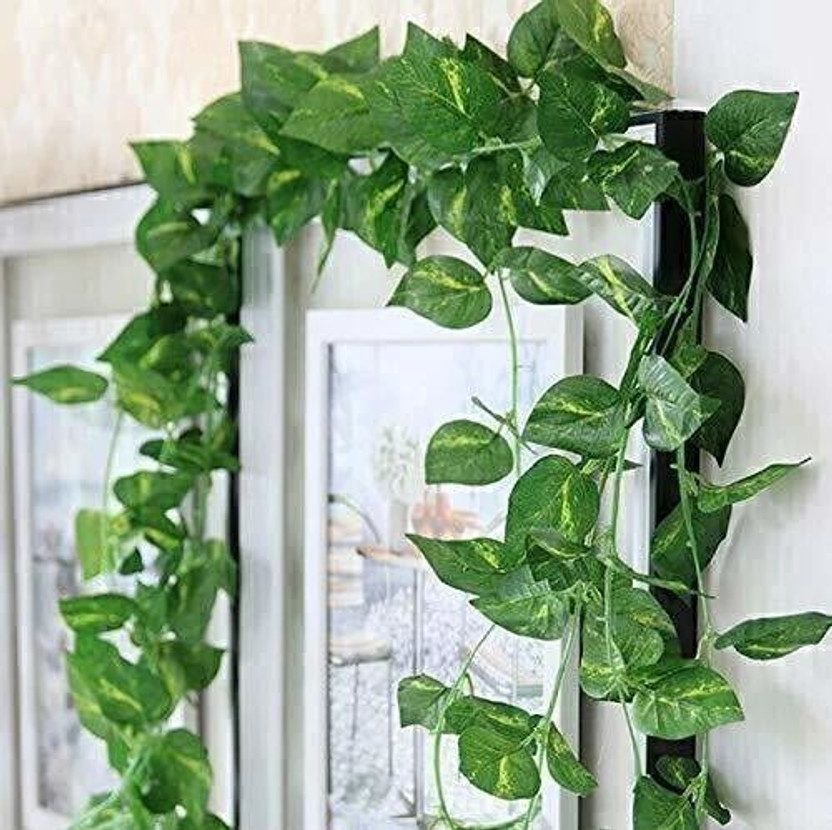 Sainijipoint 8ft Set of 3 Artificial Money Plant Vine,For|Home|Wall|Office|Garden|Decoration Artificial Plant(244 cm, Green)