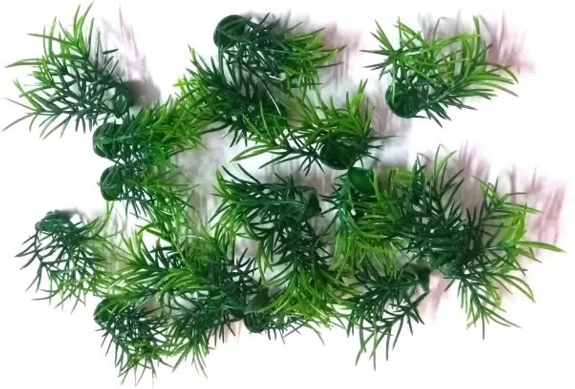 tosim tosim School Project Grass 1 Packet (Around 40 Pic Grass) Artificial Plant(5 cm, Green) - Flipkart Deal