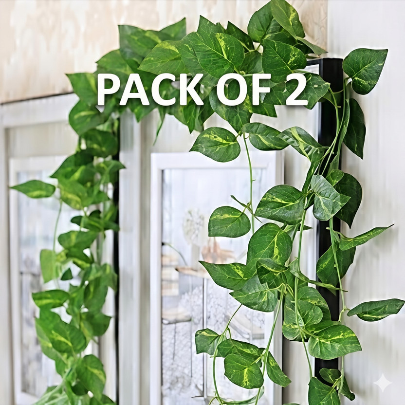 POKA Artificial Money Plant Creeper Vine for Wall Hanging Home Balcony Decor Set of 2 Artificial Plant(210 cm, Green)