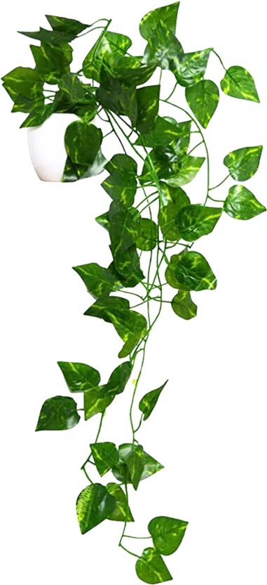 fancymart fancymart Vine Plant Falling Artificial Plant  with Pot(60 cm, Green) - Flipkart Deal