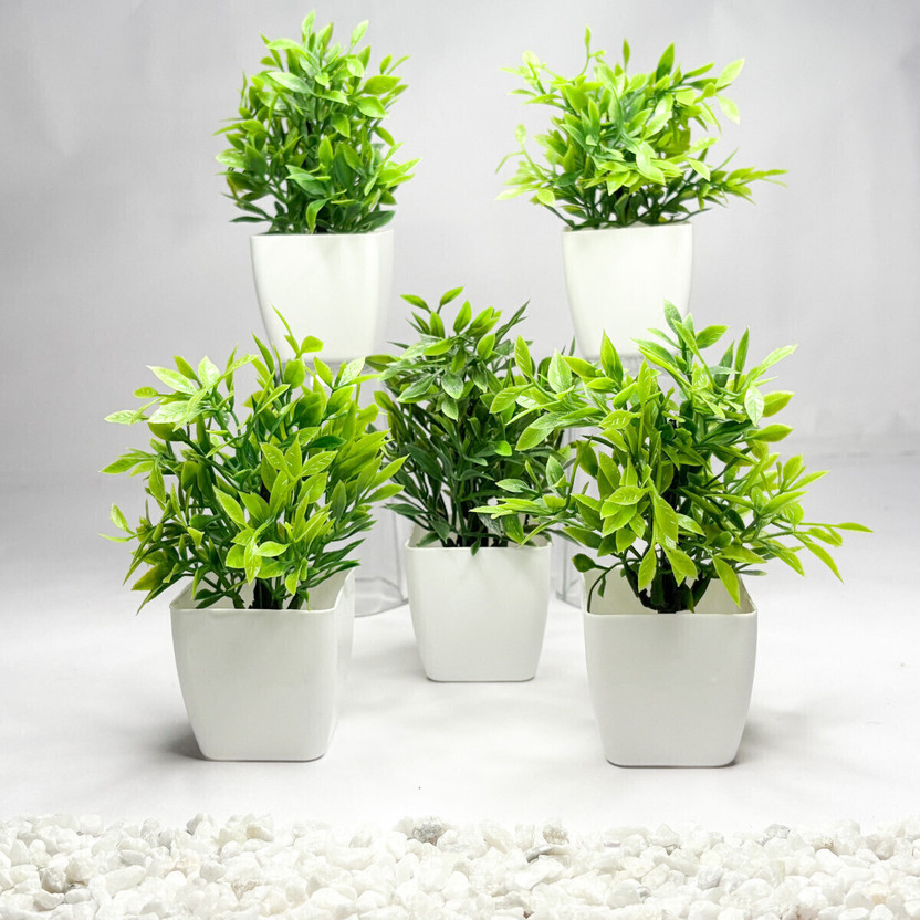 Shy 007_Green Artificial plants piece of 5 with stone Bonsai Artificial Plant  with Pot(6 cm, Green)