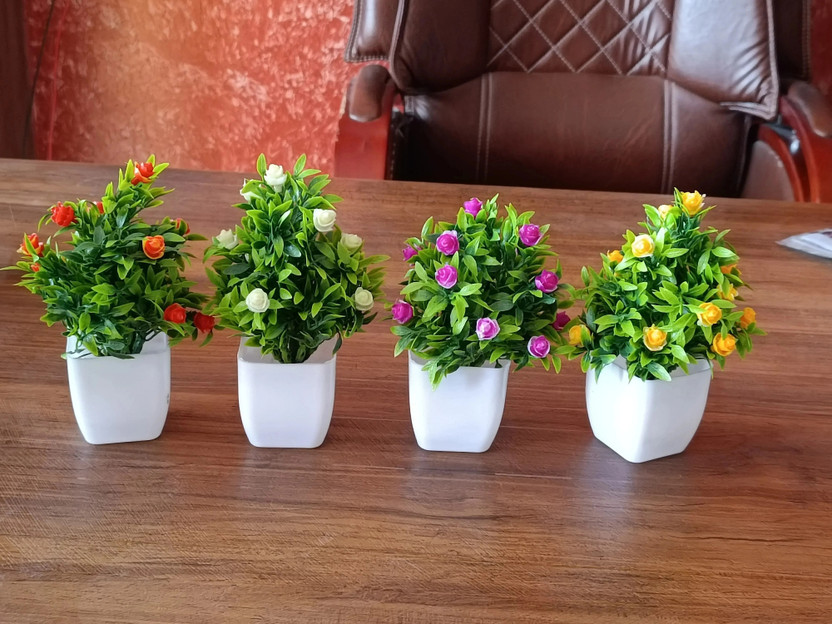 Naturaly Bonsoi for home decoration,office decor, cafe, (4) Bonsai Wild Artificial Plant  with Pot(20 cm, Multicolor)
