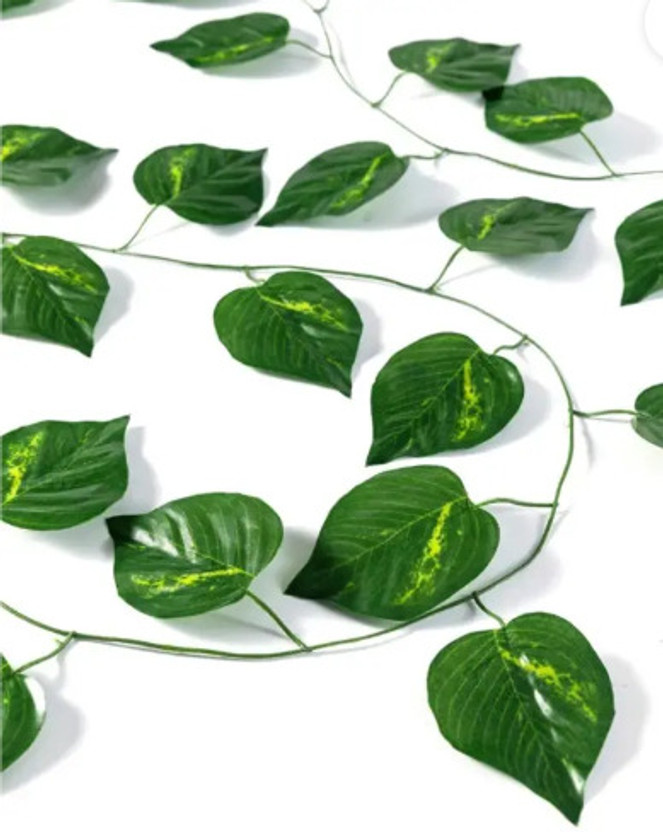 firstbuy firstbuy Set of 2 Artificial Money Plant Creeper For|Home|office|Garden| Decoration Pack of 2(Green) - Flipkart Deal