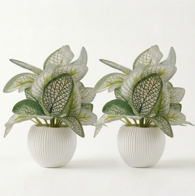 LYNALIVING Artificial Fittonia Style Plant with Pot for Home Office Decoration (Pack of 2) Bonsai Artificial Plant  with Pot(16 cm, Green)