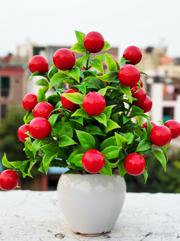 zonezer zonezer red cherry plant 1 piece real looking cute plant with pot best for home decor. Bonsai Artificial Plant  with Pot(14 cm, Multicolor) - Flipkart Deal
