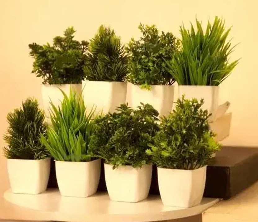 Akp Pack of 8 Decorative Bonsai Wild Artificial Plant  with Pot(15 cm, Green, White)