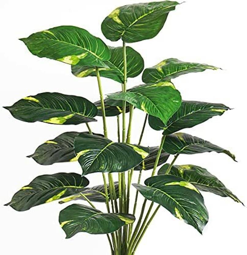 BrandTree Shop Artificial Plant Price in India Buy BrandTree Shop
