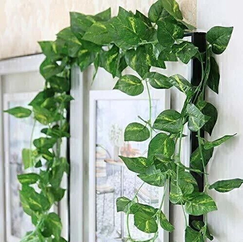 VIJAY TRADERS Artificial Money Plant Creeper( pack of 2) For|Home|Office|Garden|Decoration Artificial Plant(182.8 cm, Green)