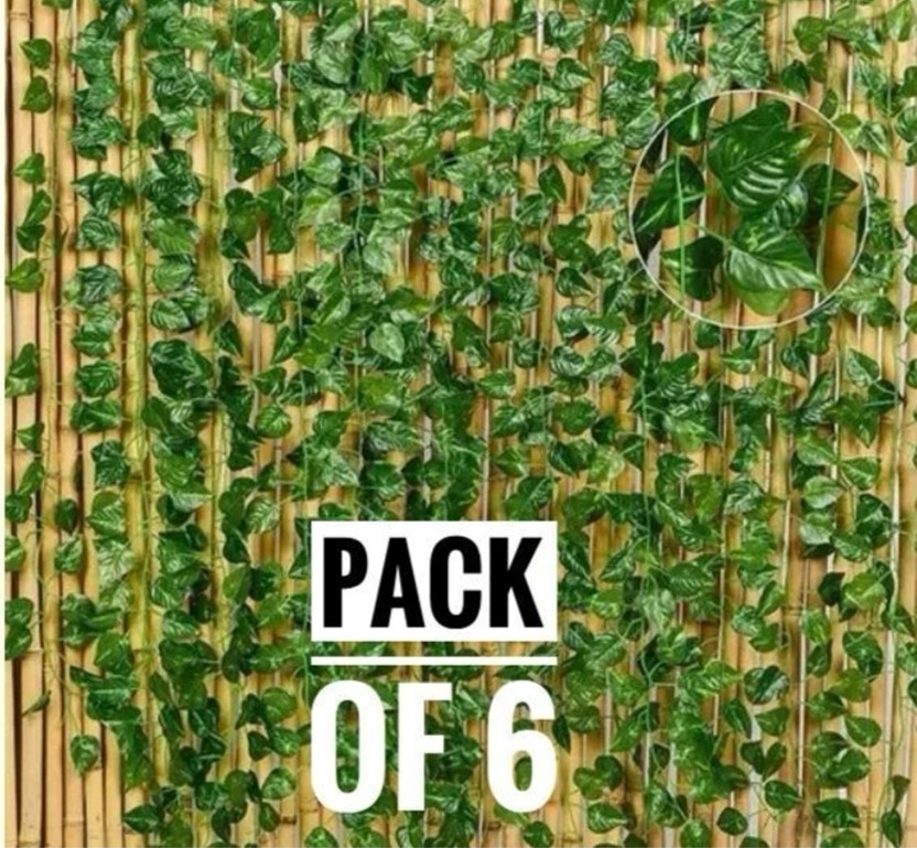 firstbuy Set of 6 MONEY PLANT CREEPER FOR WALL, GARDEN DECORATION Pack of 6(Green)