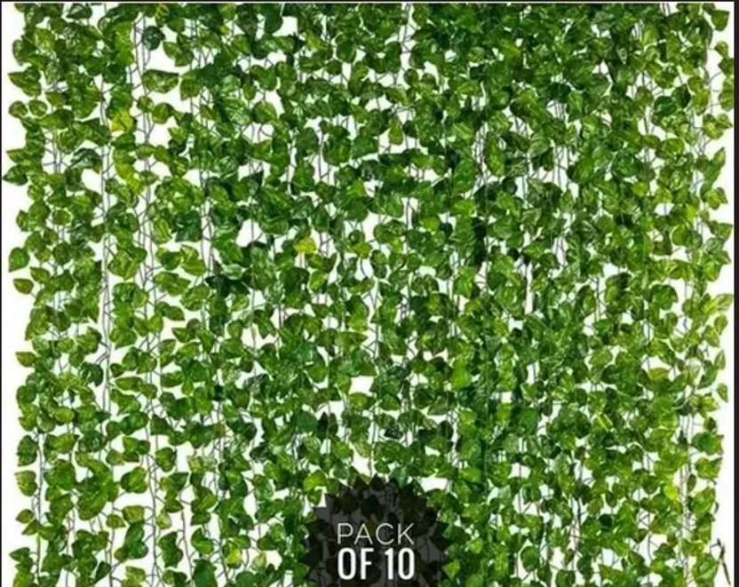 Homshy Artificial Money plants 8 feet Large Size (pack of 10) Artificial Plant(253 cm, Green)