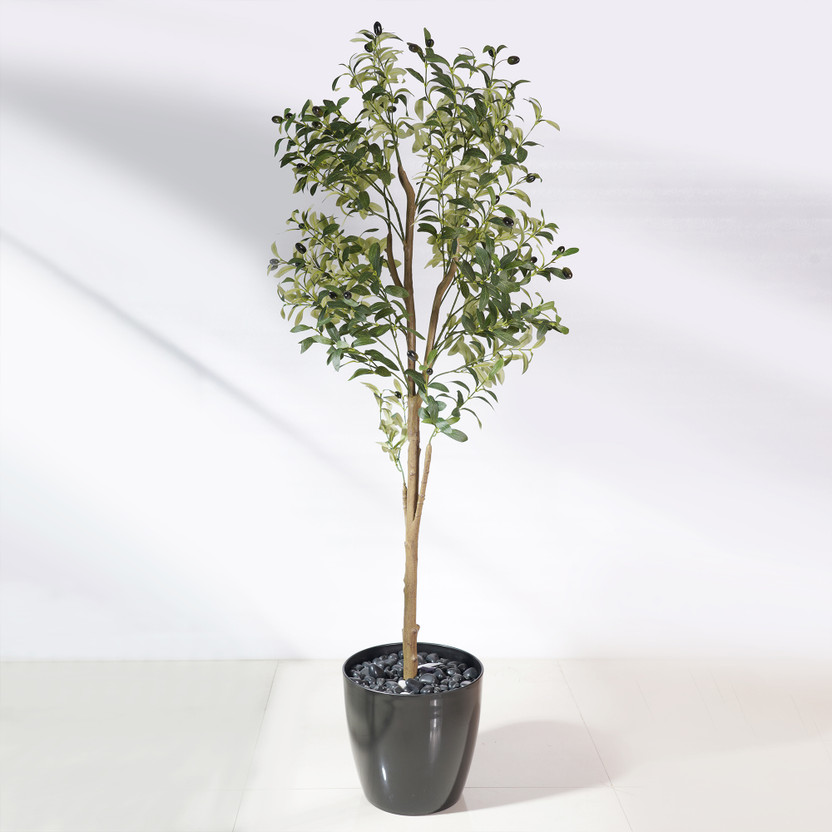 THE THE FLORAL STUDIO The Floral Studio Artificial Olive Tree Plant Artificial Plant(120 cm, Multicolor) - Flipkart Deal