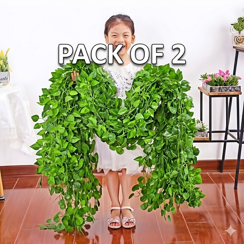 POKA Artificial Money Plant Creeper Vine for Wall Hanging Home Balcony Decor Set of 2 Artificial Plant(210 cm, Green)