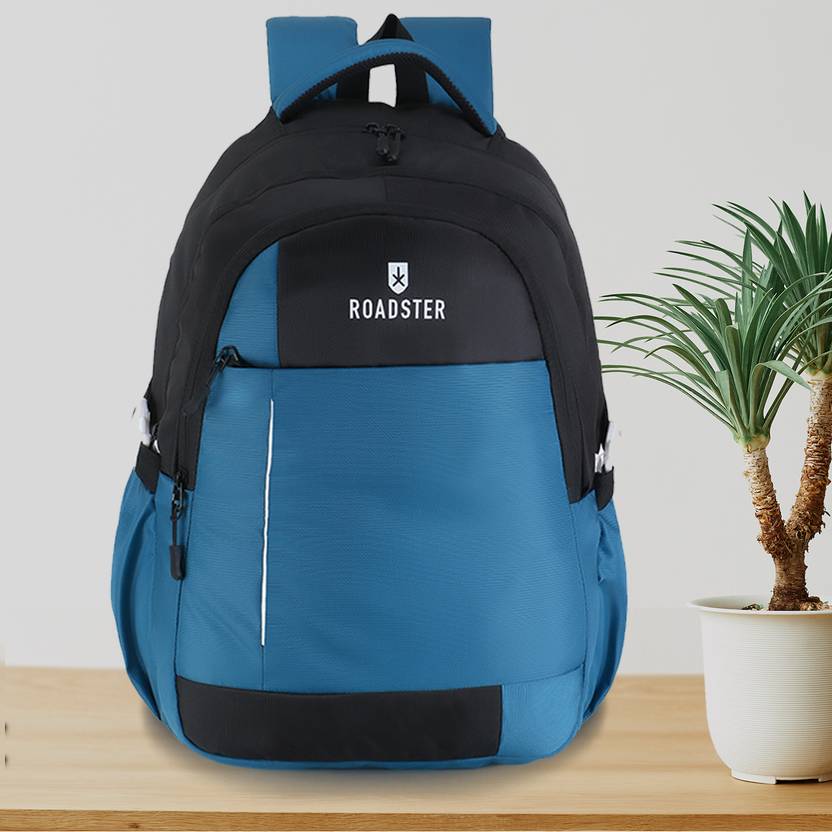 Roadster Large 35 L Laptop Backpack For College School Travel Office Backpack For Men & Women  (Blue)