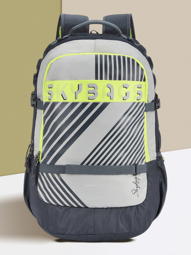 SKYBAGS CRUZE XL COLLEGE 31 L Laptop Backpack(Grey)