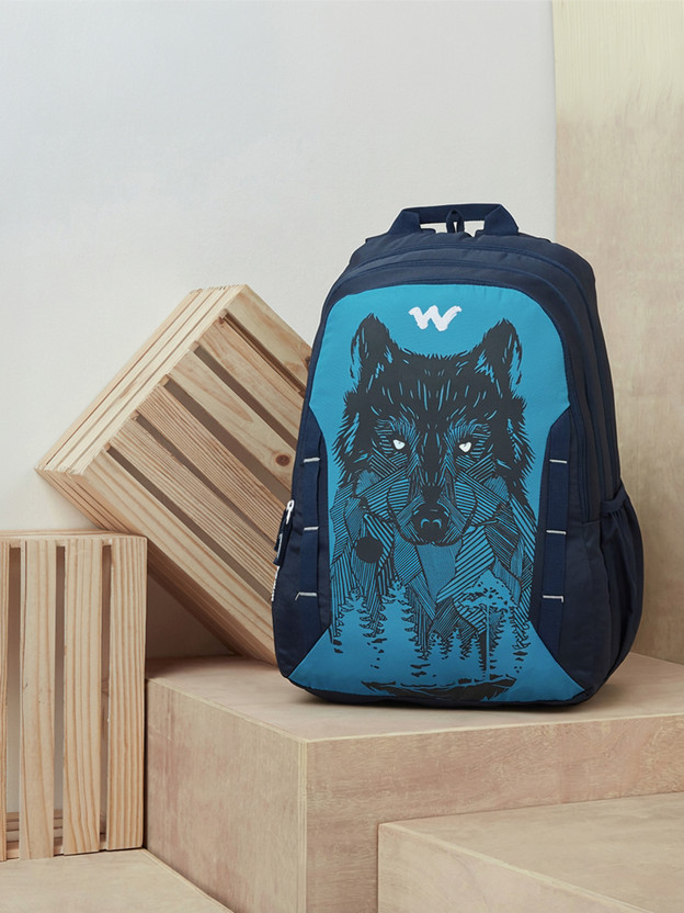 Wildcraft Daredevil 43 L Laptop Backpack(Blue, Black)
