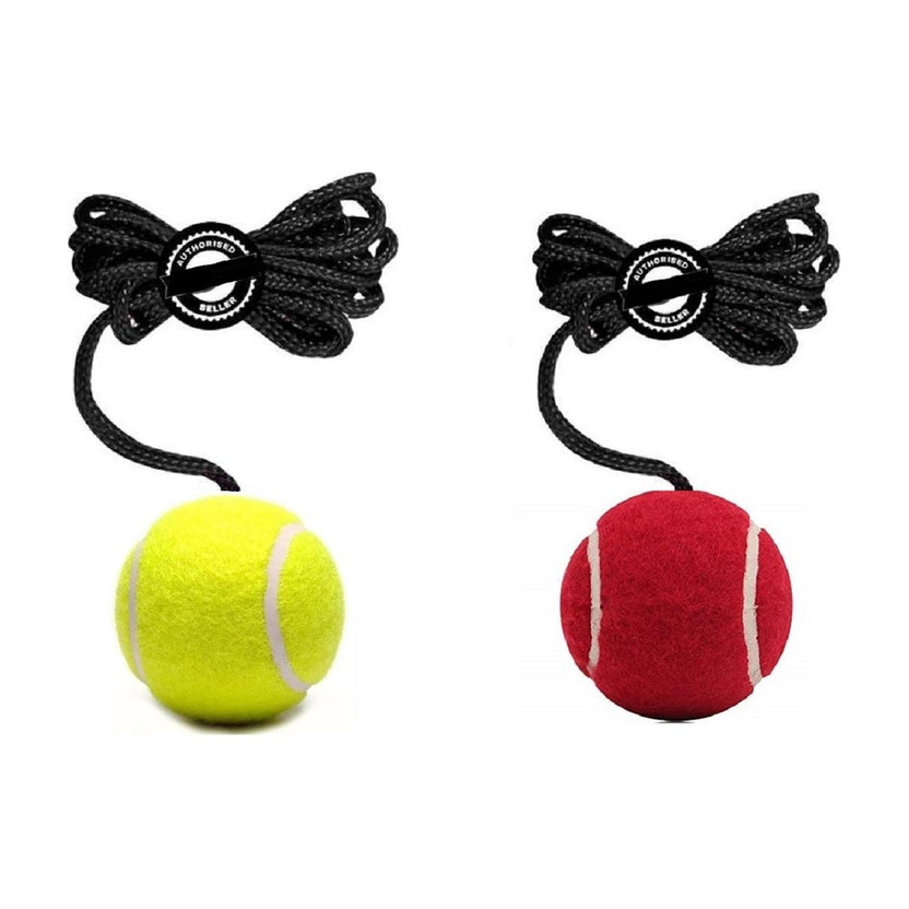 VSC Cricket Tennis Hanging Practice ball Heavy for Indoor/Outdoor Knocking Cricket Cricket Training Ball(Kids, Pack of 2, Multicolor)