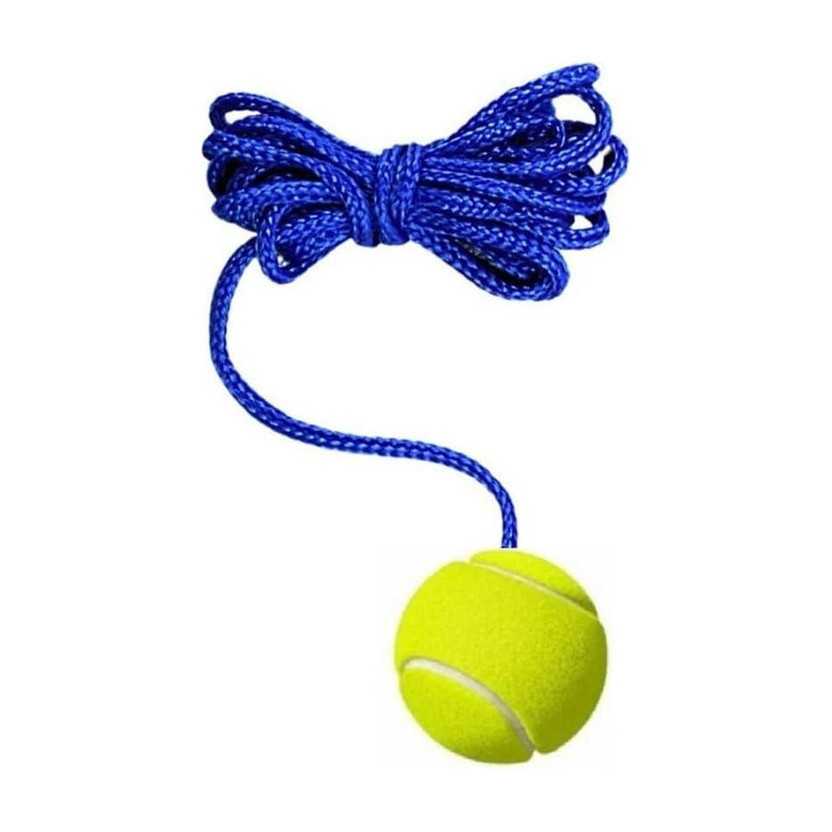 VSC VSC02 Cricket Training Ball(Standard, Pack of 1, Yellow)