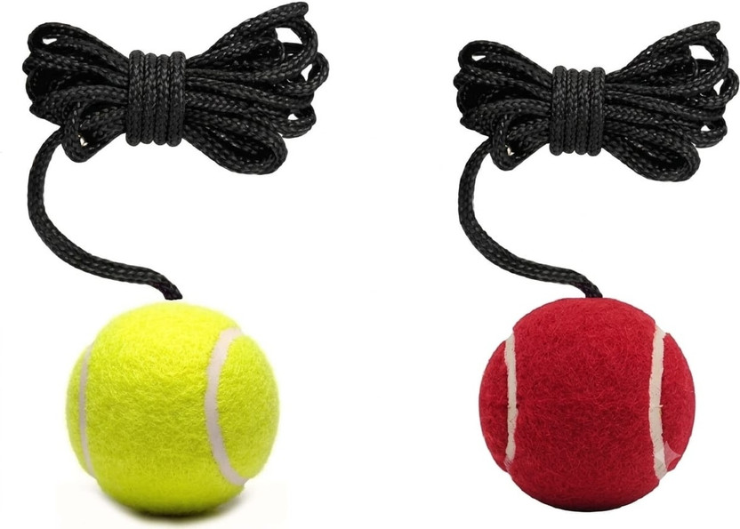 VSC Cricket Tennis Hanging Practice ball Heavy for Indoor/Outdoor Knocking Cricket Cricket Training Ball(Kids, Pack of 2, Multicolor)