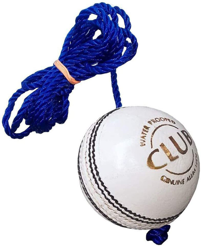 HOC Leather Hanging Ball Heavy Practice-Ball for Senior Players (150Gm-170Gm Each) Cricket Training Ball(Standard, Pack of 2, White, Blue)