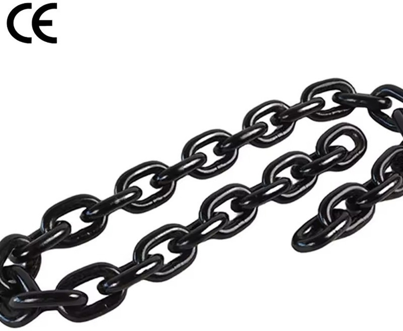IGA COLLECTION Stainless Steel Platinum Bracelet