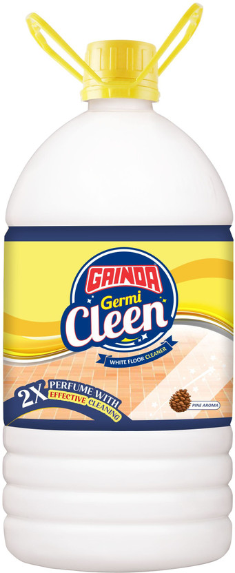 GAINDA Germi Cleen Disinfectant Floor Cleaner Liquid Plain(5 L)