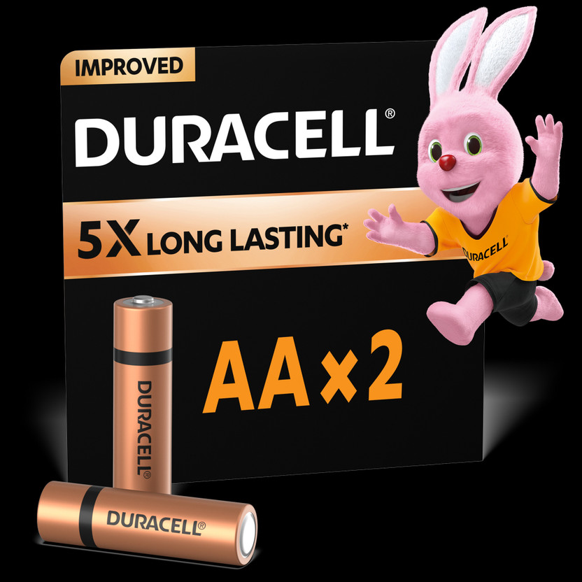 DURACELL Alkaline AA, Everyday Devices, Clock, Toy, Remote  Battery(Pack of 2)
