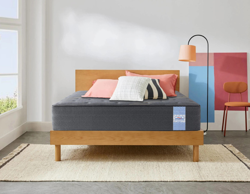 SPRINGTEK Dreamer Bonnel Ortho Spring 6 inch Single Bonnell Spring Mattress(L x W: 72 inch x 36 inch)