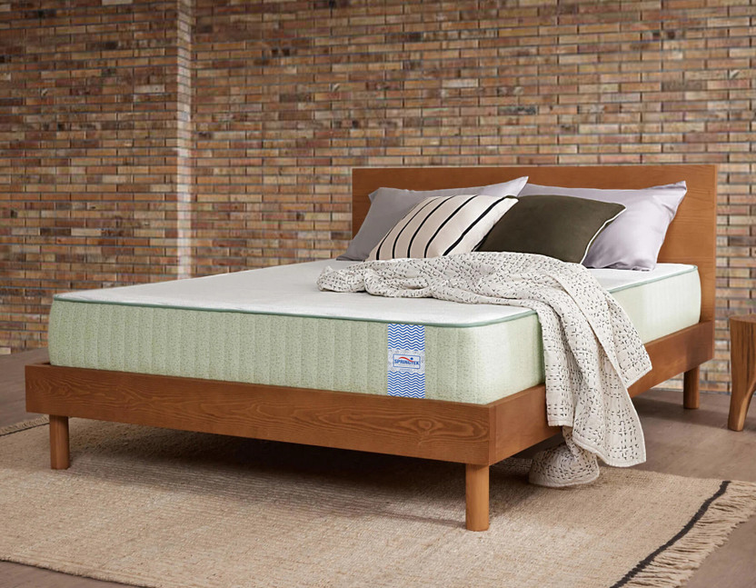 SPRINGTEK 100% N Latex Certified & Organic 6 inch Single Latex Foam Mattress(L x W: 72 inch x 36 inch)