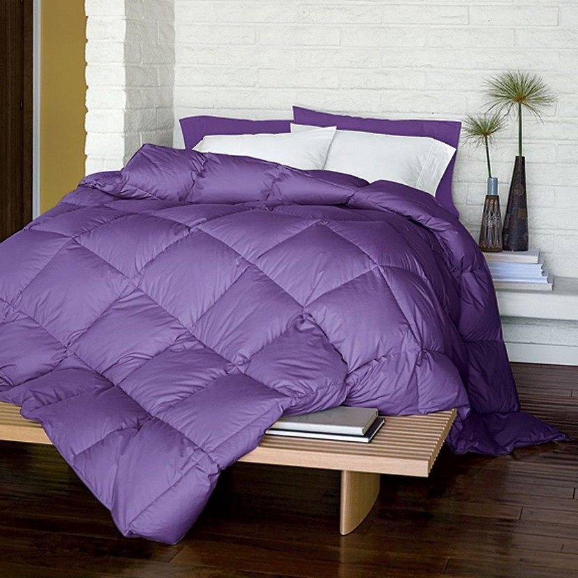AVI AVI Solid Double Duvet for  Heavy Winter(Polyester, Purple) - Flipkart Deal