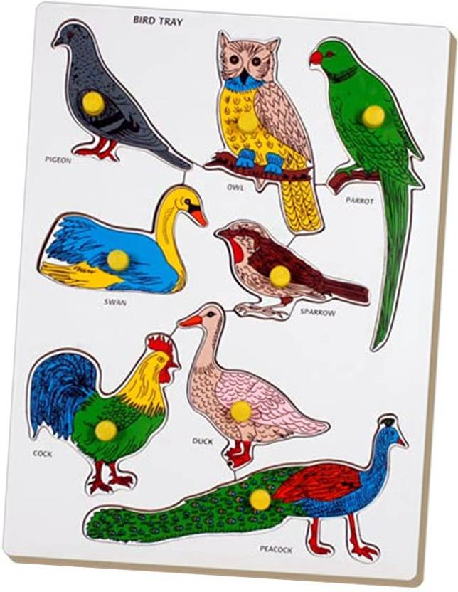 Cyrus 2021 TREND Wooden Birds Board game educational Puzzle for Kids