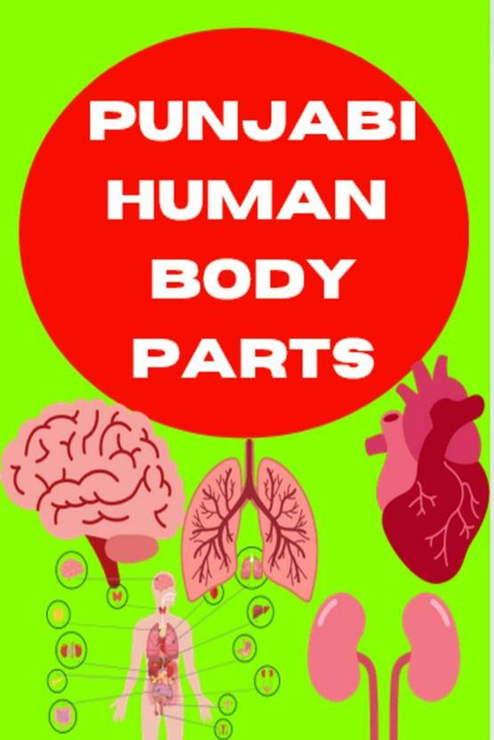 Punjabi Human Body parts book Buy Punjabi Human Body parts book by Gss