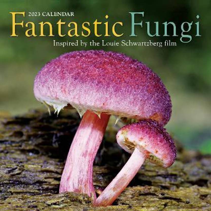 Fantastic Fungi Wall Calendar 2023 Buy Fantastic Fungi Wall Calendar