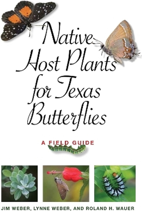 Native Host Plants for Texas Butterflies(English, Paperback, Weber Jim)