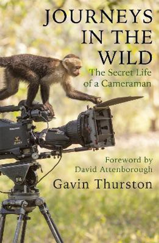 Journeys in the Wild(English, Paperback, Thurston Gavin)