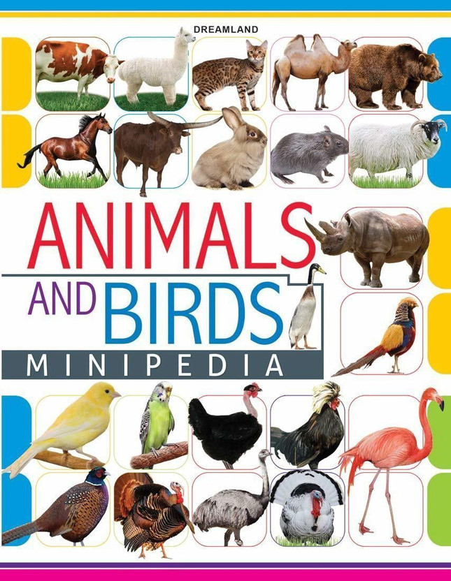 Animals and Birds Minipedia  - For Kids Age 5–15 Years | Fun Encyclopedia of Mammals, Birds & Rodents | Amazing Facts, Habitats, Food, Breeding & More | Illustrated Reference Book with Clear Images(English, Paperback, unknown)