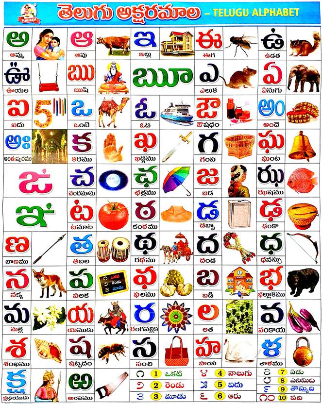 Telugu Alphabets for Kids Telugu Aksharamala wall Chart for Kids