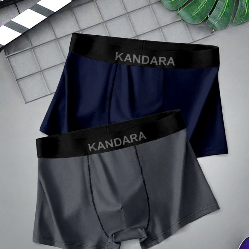 Kandara Men Brief